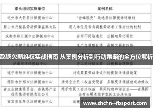 赵鹏欠薪维权实战指南 从案例分析到行动策略的全方位解析