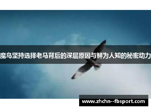 魔鸟坚持选择老马背后的深层原因与鲜为人知的秘密动力